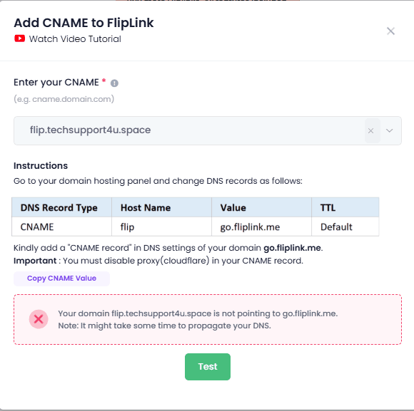 FlipLink CNAME setup error message — an example of the DNS issues custom domains introduce