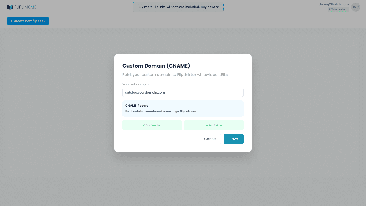 Custom Domains - FlipLink feature screenshot